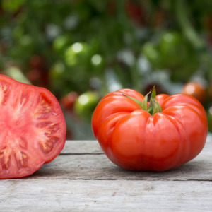 Beefsteak Tomato – 10 Biji